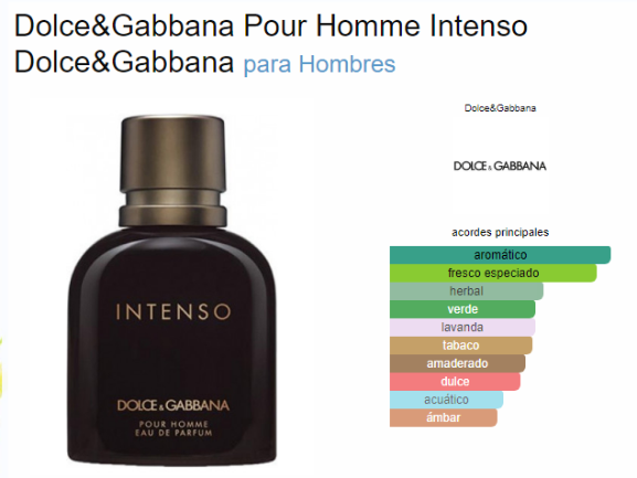 DOLCE & GABBANA INTENSO D&G MEN