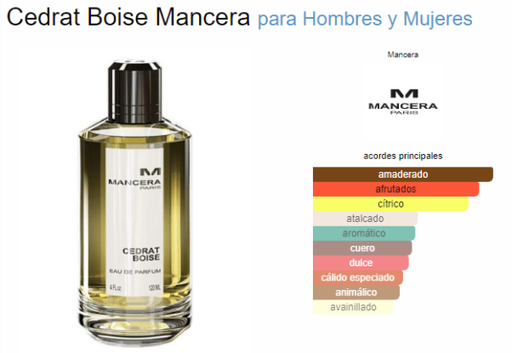 [420641] MANCERA CEDRAT BOISE MEN